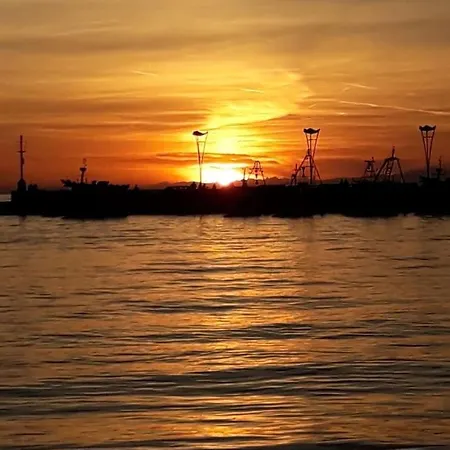 With Garden Near The Sea * Koper