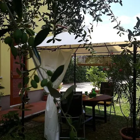 With Garden Near The Sea Koper