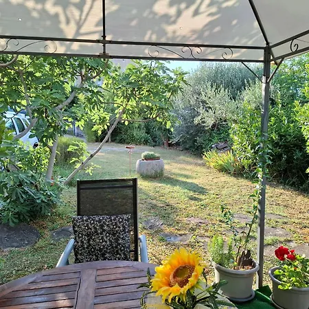 With Garden Near The Sea * Koper