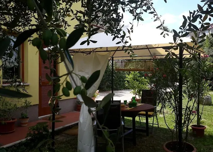 With Garden Near The Sea Κόπερ